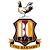 Bradford City badge