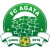FC Nobeoka Agata Logo