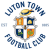 Luton badge