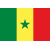 Senegal badge