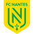 Nantes badge