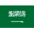 Saudi Arabia U23 Logo
