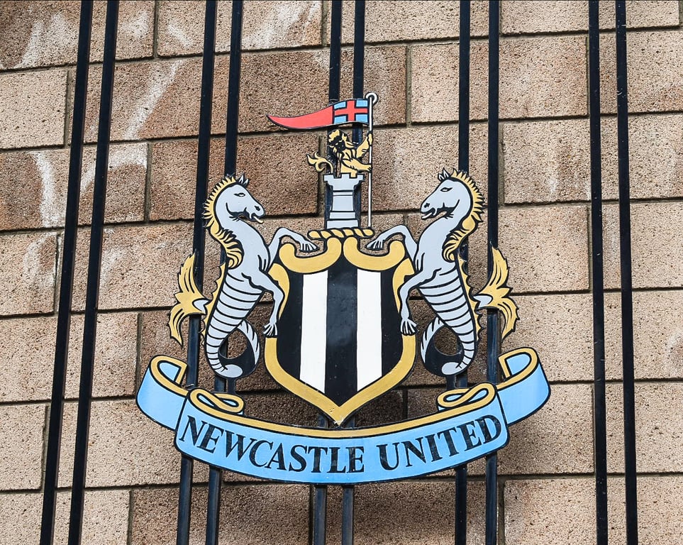 aaron ramsdale to newcastle loan deal medical